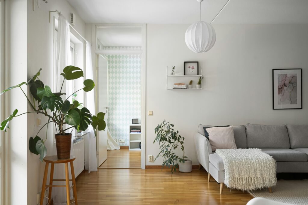 Minimalist living space with plants and natural sunlight