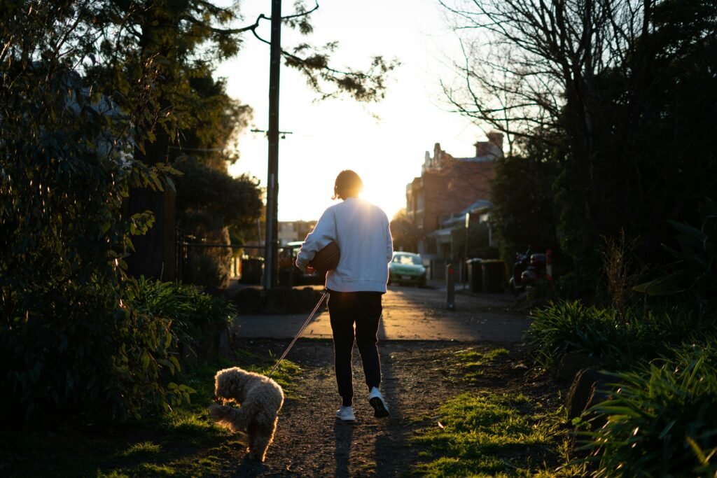 Person walking a dog at sunset in a quiet neighborhood